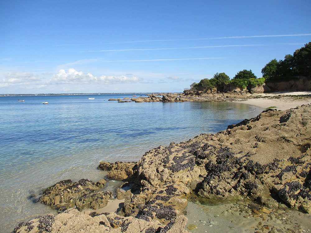 Concarneau dans le Finistère